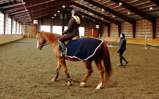 Horse Riding Lessons CT