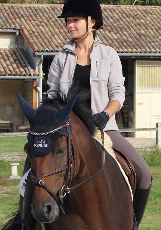 Horse Trainer CT