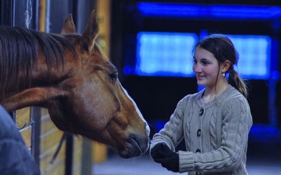 Horse Training Ridgefield CT